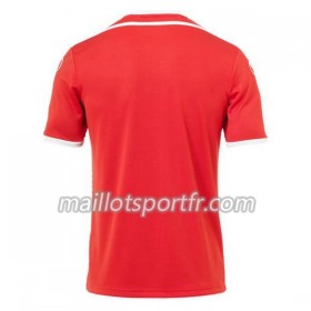 Maillot de Foot Tunisie Exterieur Coupe du monde 2018